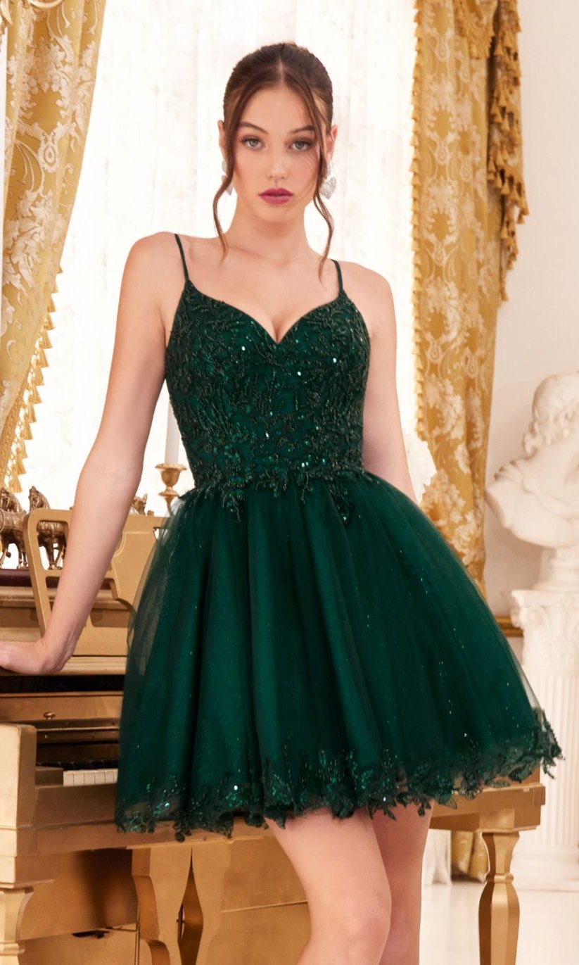 Short Homecoming Dress CD0213 with Embroidery - Image 5