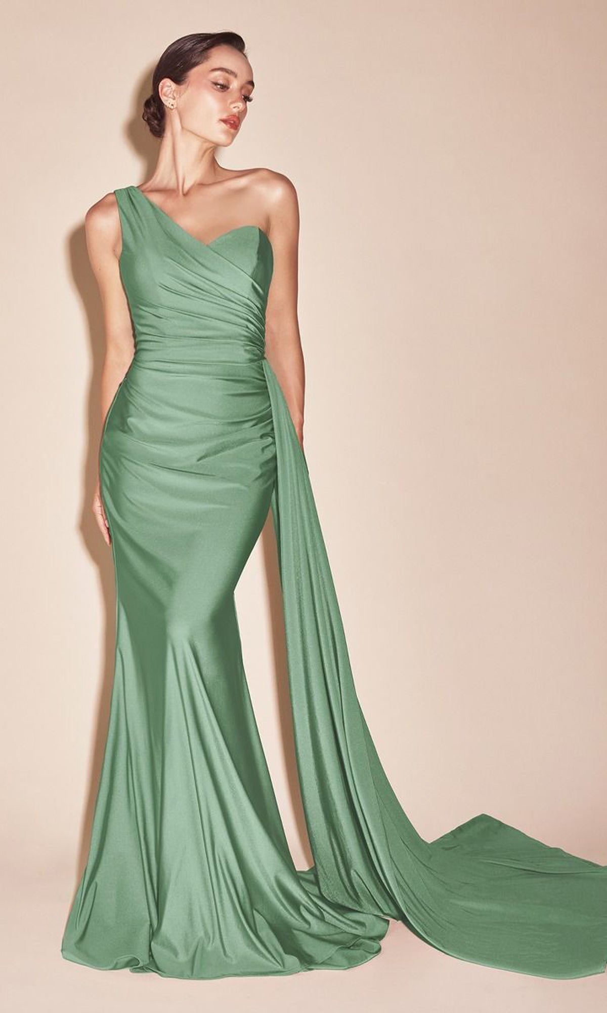 Plus-Size Long Sweetheart Prom Dress CLPT004C - Image 11