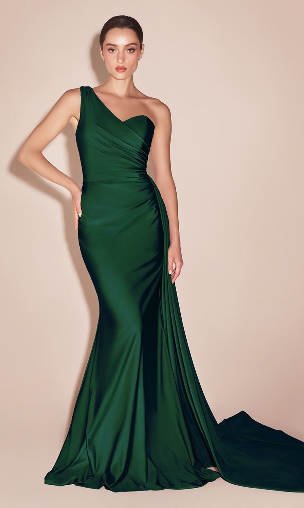 Plus-Size Long Sweetheart Prom Dress CLPT004C - Image 13