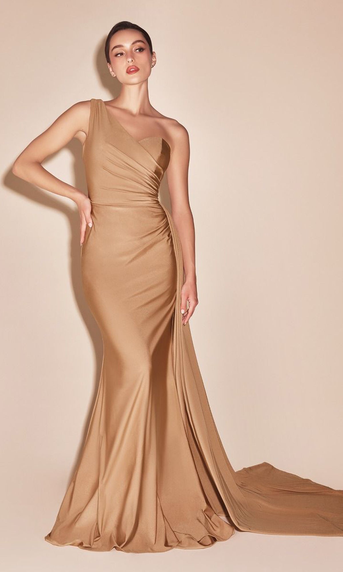 Plus-Size Long Sweetheart Prom Dress CLPT004C - Image 14